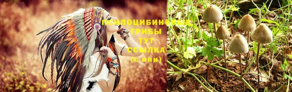 каннабис Алексеевка