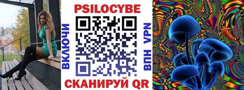 Псилоцибиновые грибы MAGIC MUSHROOMS  цены наркотик  Киселёвск 